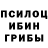 Галлюциногенные грибы прущие грибы Waleriy Zhurin