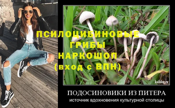 прущие крисы Бронницы