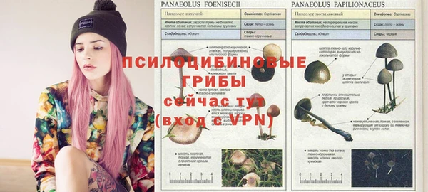 каннабис Приозерск