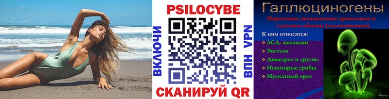 Галлюциногенные грибы GOLDEN TEACHER  где купить наркоту  Вязники 